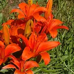 Haus Waldfriede Appartement Weissensee